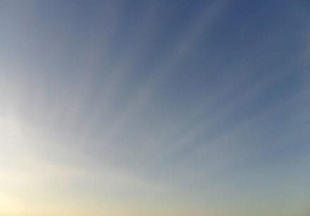 Reiki and wellbeing from Emma Lannigan
